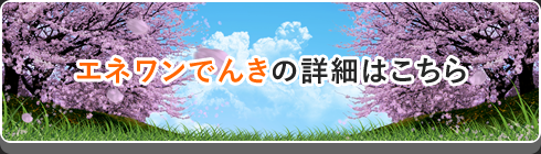 エネワンでんきの詳細はこちら